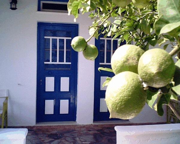 קופוניסיה Villa Maria Vekri מראה חיצוני תמונה
